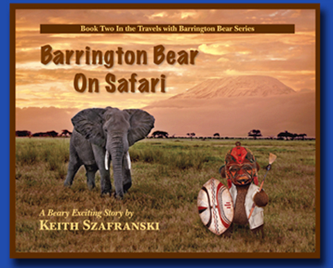 Barrington Bear on Safari