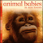 Animal babies in rain forests