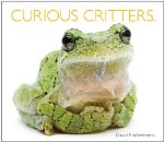 Curious Critters