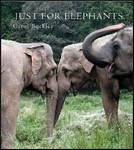 Just for Elephants