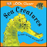 Look Closer Sea Creatures: A Close-up look at a coral reef