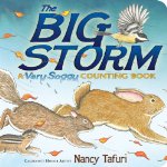 The Big Storm: A Very Soggy Counting Book 
