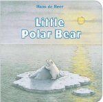 The Little Polar Bear